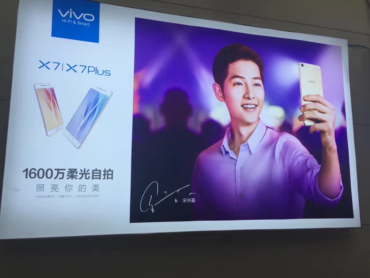 Fabric Light Box Image